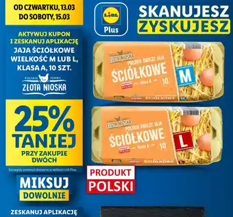 Lidl Jaja ściółkowe kl. l Złota Nioska oferta