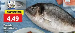 Lidl Dorada patroszona oferta