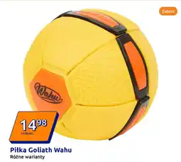 Action Piłka Goliath Wahu oferta