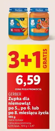 Lidl Zupka pomidorowa z ryżem i indykiem Gerber oferta