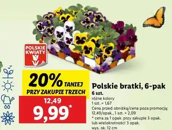 Lidl Bratki oferta