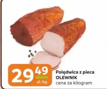 Gama Polędwica Olewnik oferta