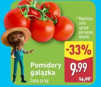 ALDI Pomidory oferta