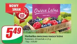 Dino Herbatka owoce leśne Teekanne World Of Fruits oferta