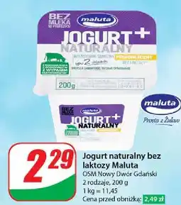 Dino Jogurt naturalny bez laktozy Maluta oferta