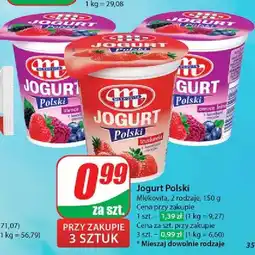 Dino Jogurt owoce leśne Mlekovita Polski oferta