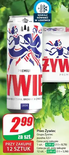 Dino Piwo Żywiec Jasne Pełne oferta