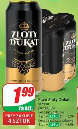 Dino Piwo Złoty Dukat oferta