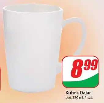 Dino Kubek Dajar oferta