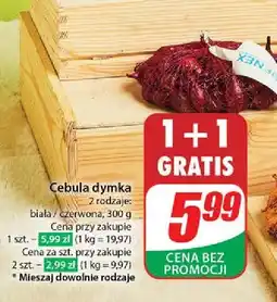 Dino Cebula czerwona oferta