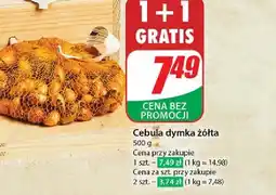 Dino Cebula dymka oferta