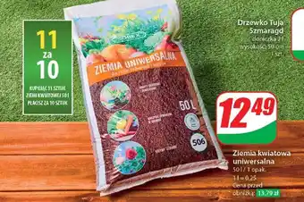 Dino Ziemia ogrodowa uniwersalna Sobex oferta