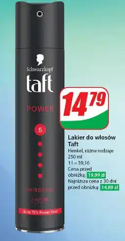 Dino Lakier do włosów Taft Power oferta