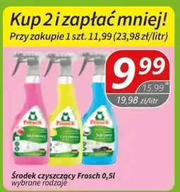 Społem Środek czyszczący Frosch oferta