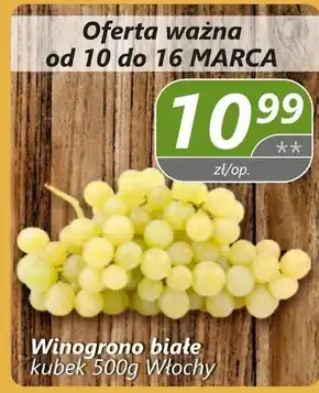 Społem Winogrona Białe oferta