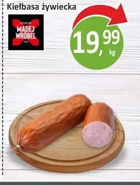 Passa Kiełbasa Madej Wróbel oferta