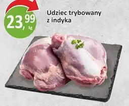 Passa Udziec z indyka oferta