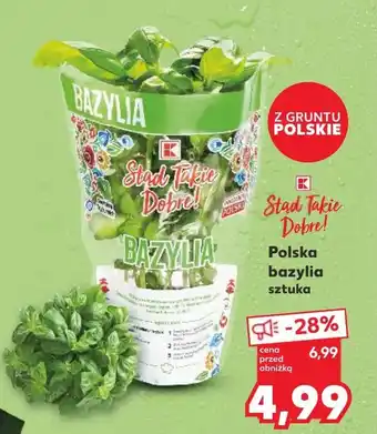 Kaufland Bazylia K-Stąd Takie Dobre oferta