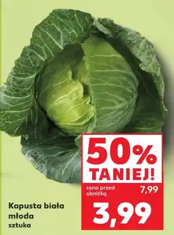 Kaufland Kapusta młoda oferta