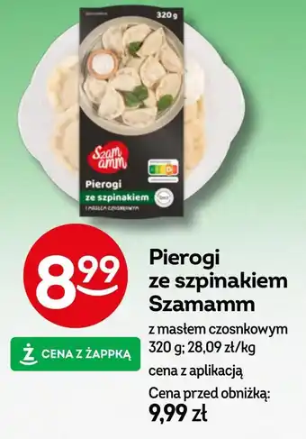 Żabka Pierogi Szamamm oferta