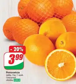 Dino Pomarańcza oferta