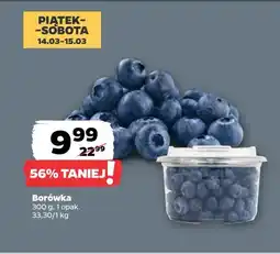 Netto Borówki amerykańskie oferta