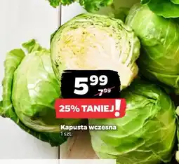 Netto Kapusta wczesna oferta