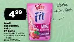 Netto Płatki pełnoziarniste żurawina borówka goji Sante Fit oferta