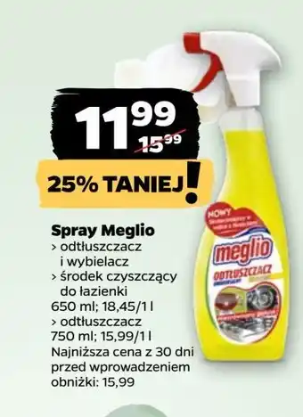 Netto Odtłuszczacz w sprayu Meglio oferta