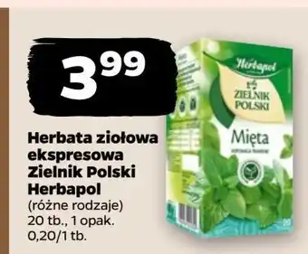 Netto Herbatka mięta Herbapol Zielnik Polski oferta