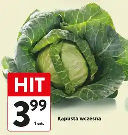 Intermarche Kapusta wczesna oferta