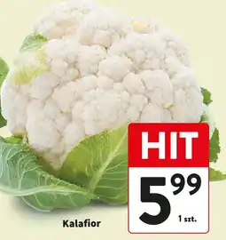 Intermarche Kalafior oferta