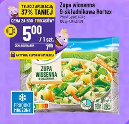 Polomarket Zupa wiosenna 9-składnikowa Hortex oferta