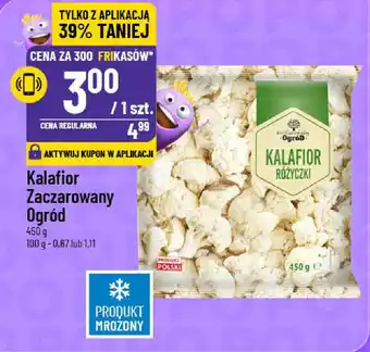 Polomarket Kalafior Zaczarowany Ogród oferta