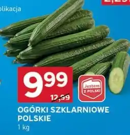 Stokrotka Optima Ogórki Polski oferta