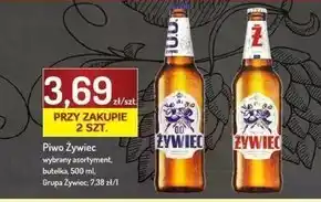 Avita Żywiec Piwo jasne 500 ml oferta