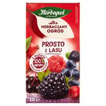 ALDI Herbapol Herbaciany Ogród Herbatka owocowo-ziołowa prosto z lasu 50 g (20 x 2,5 g) oferta