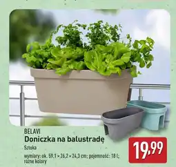 ALDI Doniczka Belavi oferta