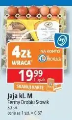 E.Leclerc Jaja kl. m Fermy Drobiu Słowik oferta