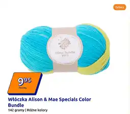 Action Włóczka Alison & Mae Specials Color Bundle oferta