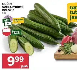 Stokrotka Market Ogórki Hit oferta