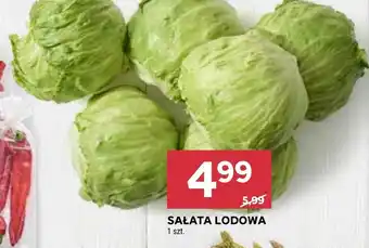 Stokrotka Sałata lodowa oferta