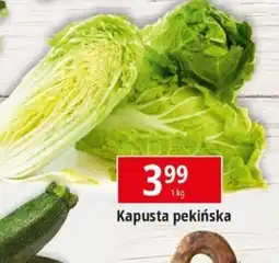 E.Leclerc Kapusta pekińska oferta