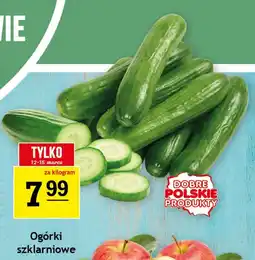 Gram Market Ogórki szklarniowe oferta