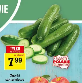 Gram Market Ogórki szklarniowe oferta