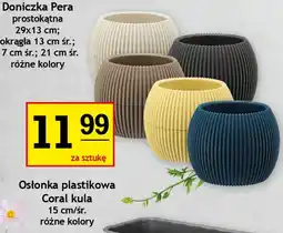 Gram Market Osłonka plastikowa Coral kula oferta