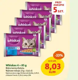 Maxi Zoo Whiskas Mokra karma dla kota oferta