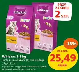 Maxi Zoo Whiskas Sucha karma dla kota oferta