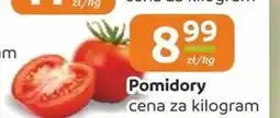 Społem Pomidory oferta