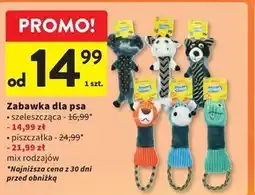 Intermarche Zabawka dla psa oferta